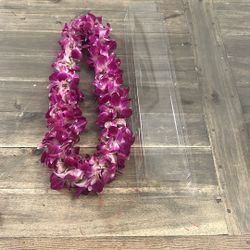 Graduation Lei