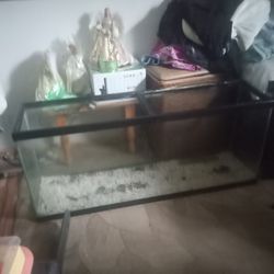 55 Gallon Tank 