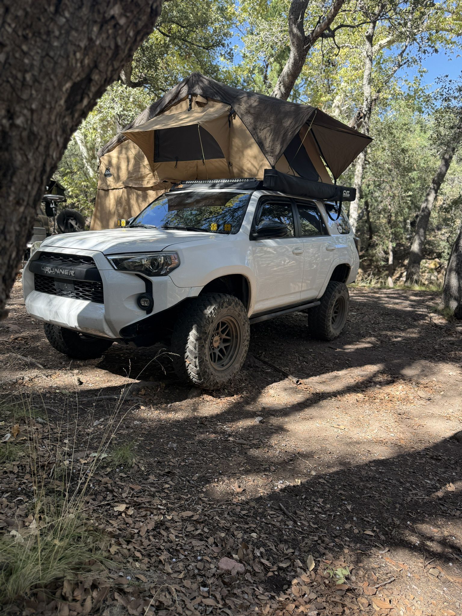 CVT root Top Tent