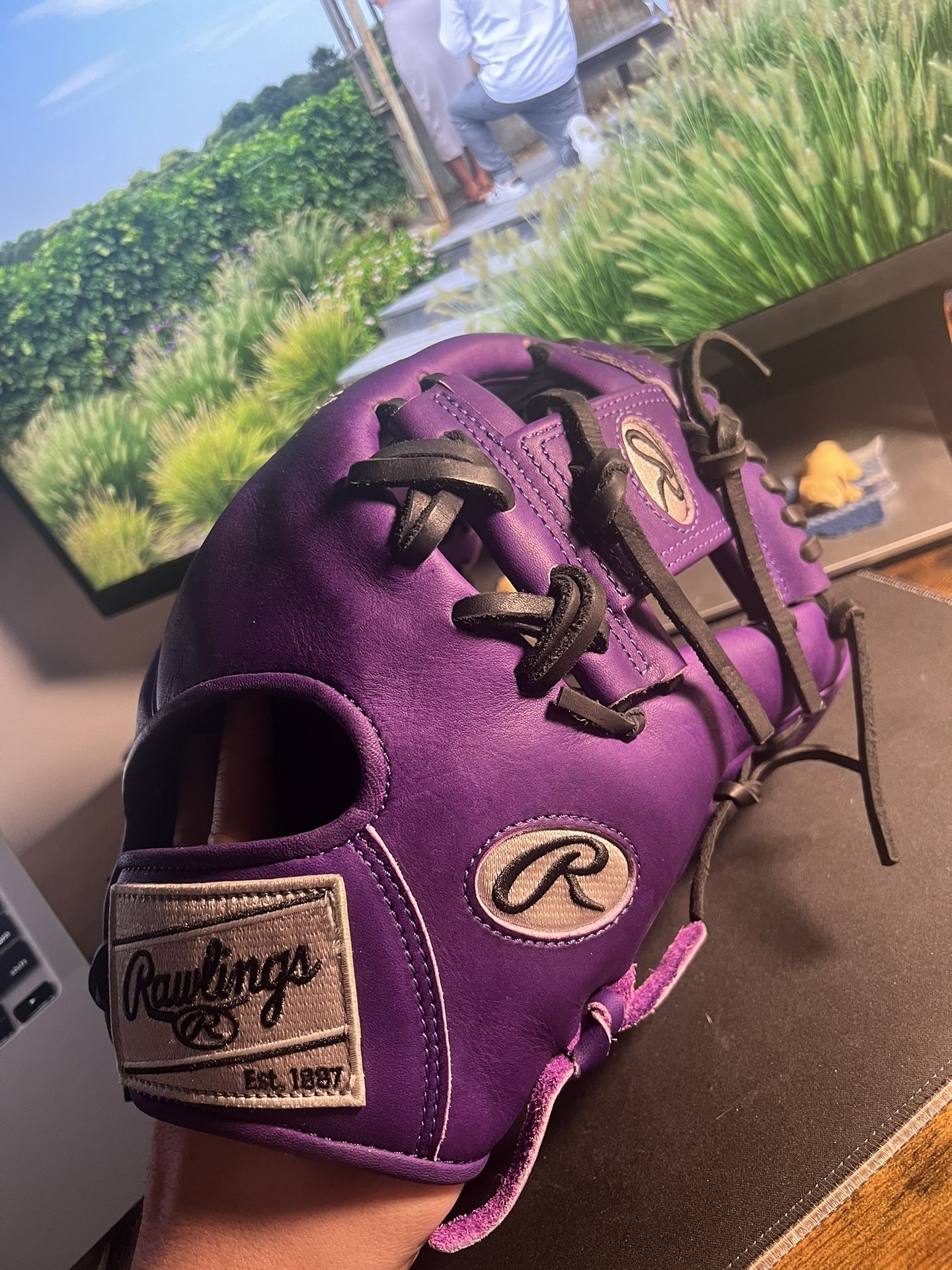 Rawlings HOH Limited Edition Purple 11.5