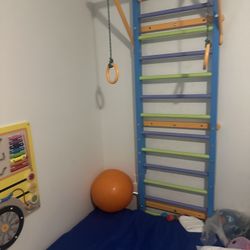 Wall Climber / Jungle Gym 