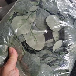 Eucalyptus Garland