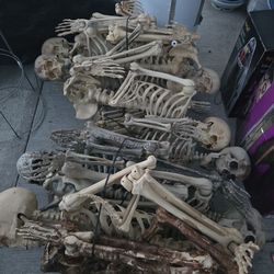 9 halloween skeletons from home depot