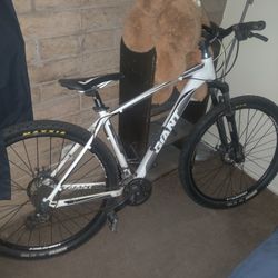 Giant Laon 2 Mountain Bike Large Frame