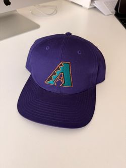 Vintage 90s Arizona Diamondbacks Twins Enterprise Snapback Hat