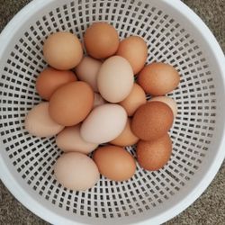 Fresh Free Range Organic Eggs