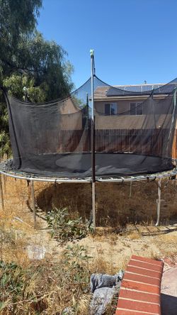 Trampoline