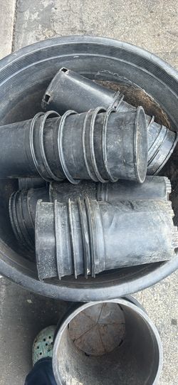 1 gal pots