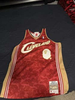 Bape Mitchell & Ness Jersey