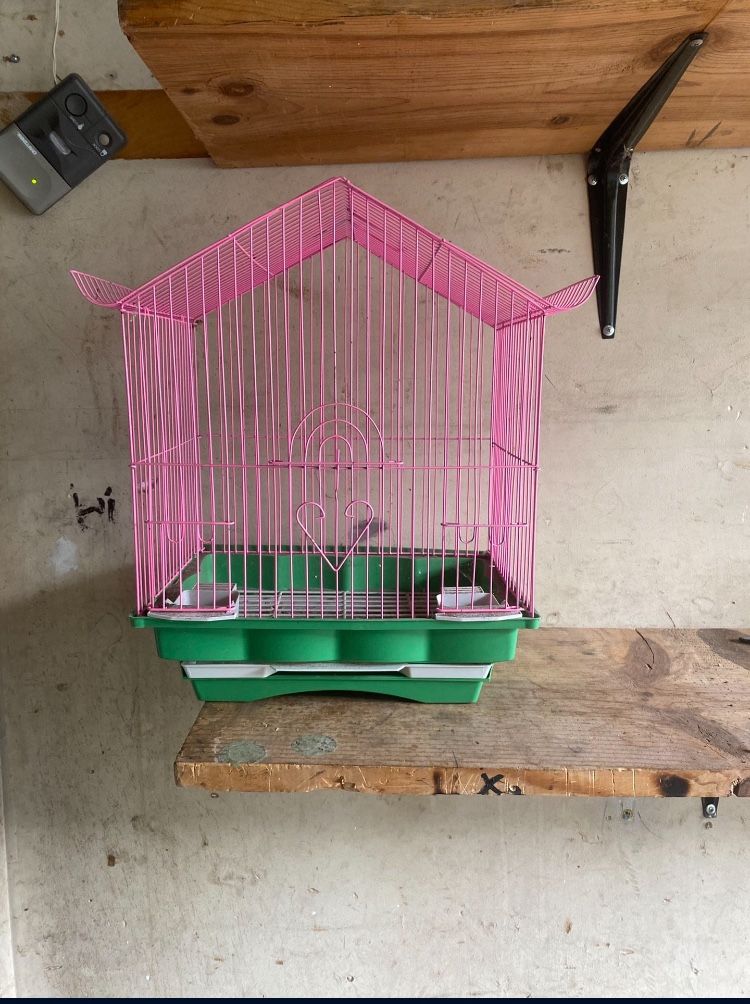 Bird Cage