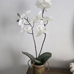 Artificial Orchid Plant
