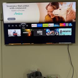 Samsung 60” TV + Fire Stick