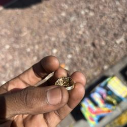 10k Gold Ring 
