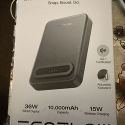 EcoFlow Power Bank 