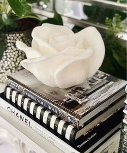 Chanel Collections and Creations Book by Danièle Bott