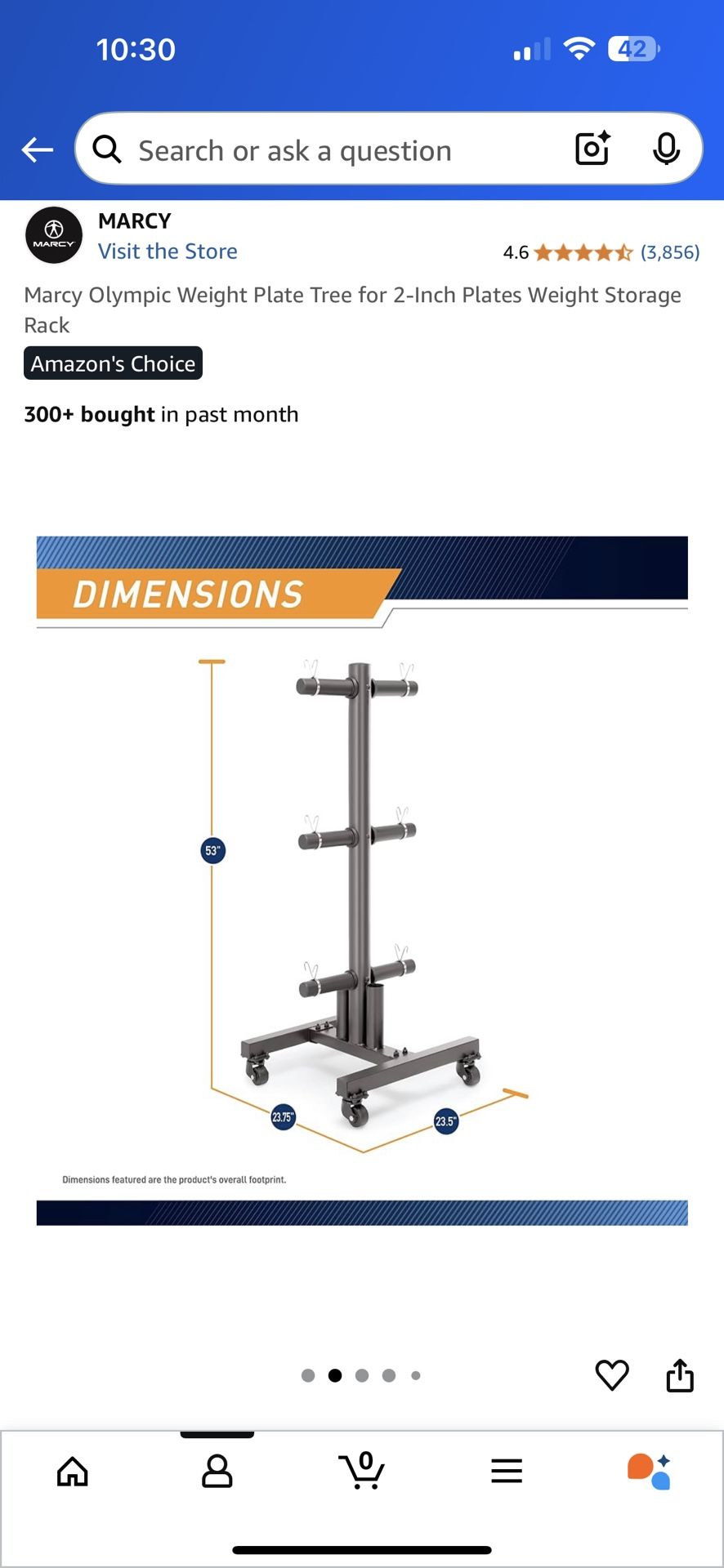 Roller Weight Mount