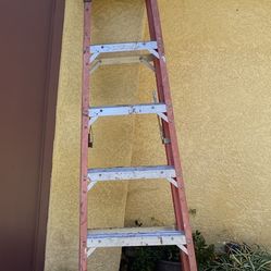 Ladder 6ft 