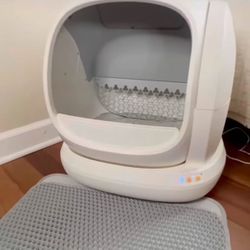 Automatic Kitty Litter Box 