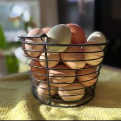 Farm Fresh Organic Eggs