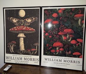Three framed beautiful woodsy, nature, wildlife, mushroom art pieces