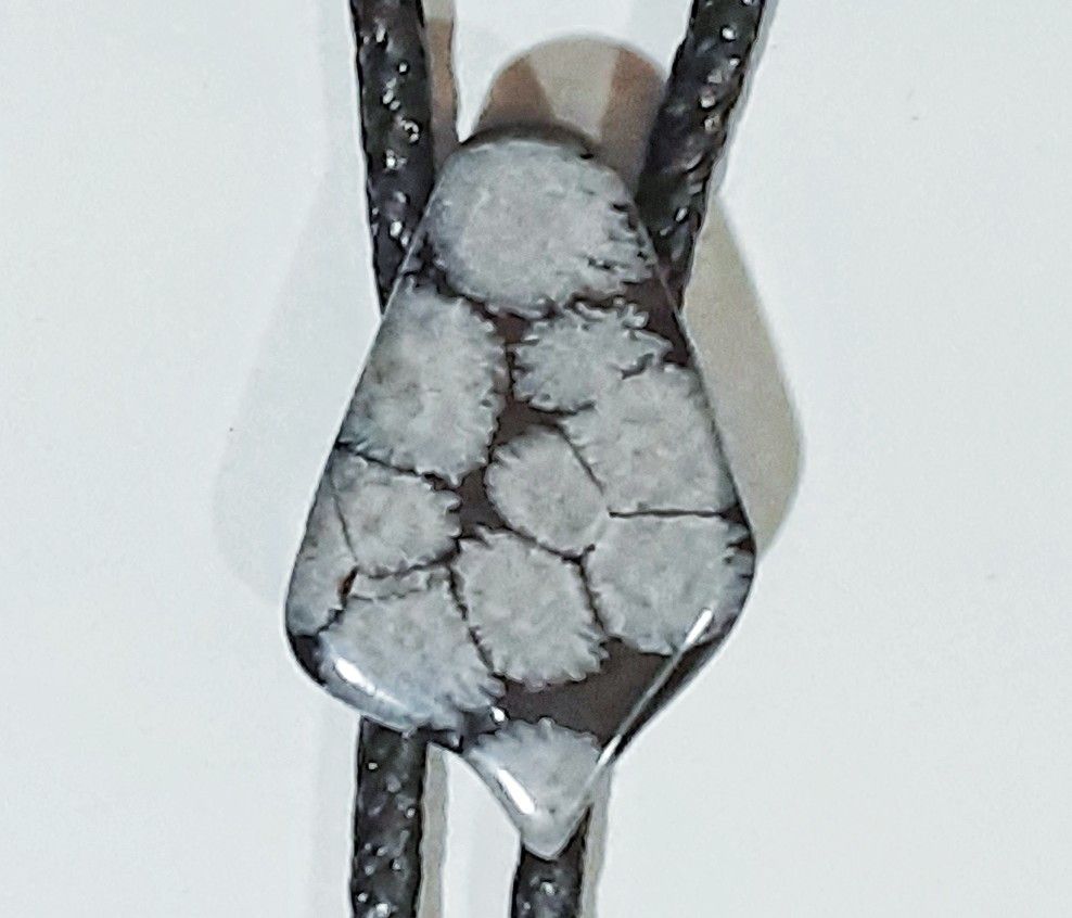 Fossil Fossilized Stone Black And Gray Bolo Tie