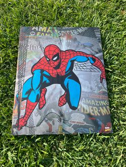 Spider Man Wall Print