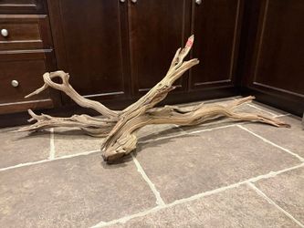 Aquarium Driftwood