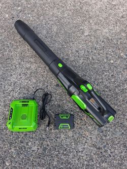 Greenworks 80Volt Hand Held Leaf Blower  Excellent  Condition With 4.0 ah Bat & Charg BLB489. For Pick Up Fremont Sea. No Low Ball/Trades Please