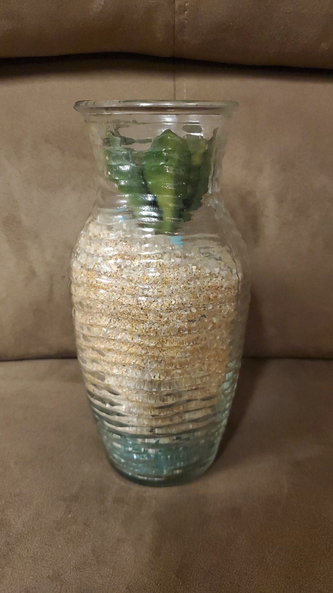 Seashells in Glass Jar