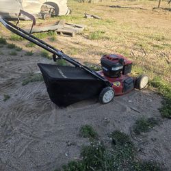 OTROY-BILT

21

cutting deck

PUSH MOWER Rear Bag Mulch Side Discharge

BRIGGS & STRATTON 