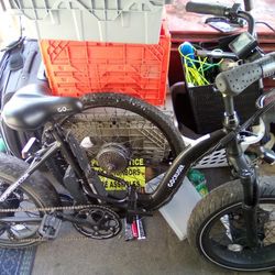 Go Power Bike (Go Cruiser)