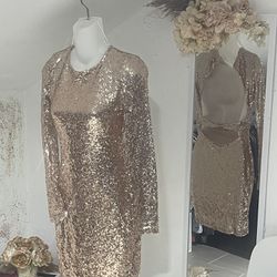 Pink Gold Dress Size Small Used Only One Time 