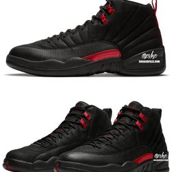 Air Jordan 12 "Bloodline"
