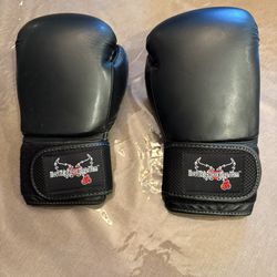 Kickboxing Gloves 