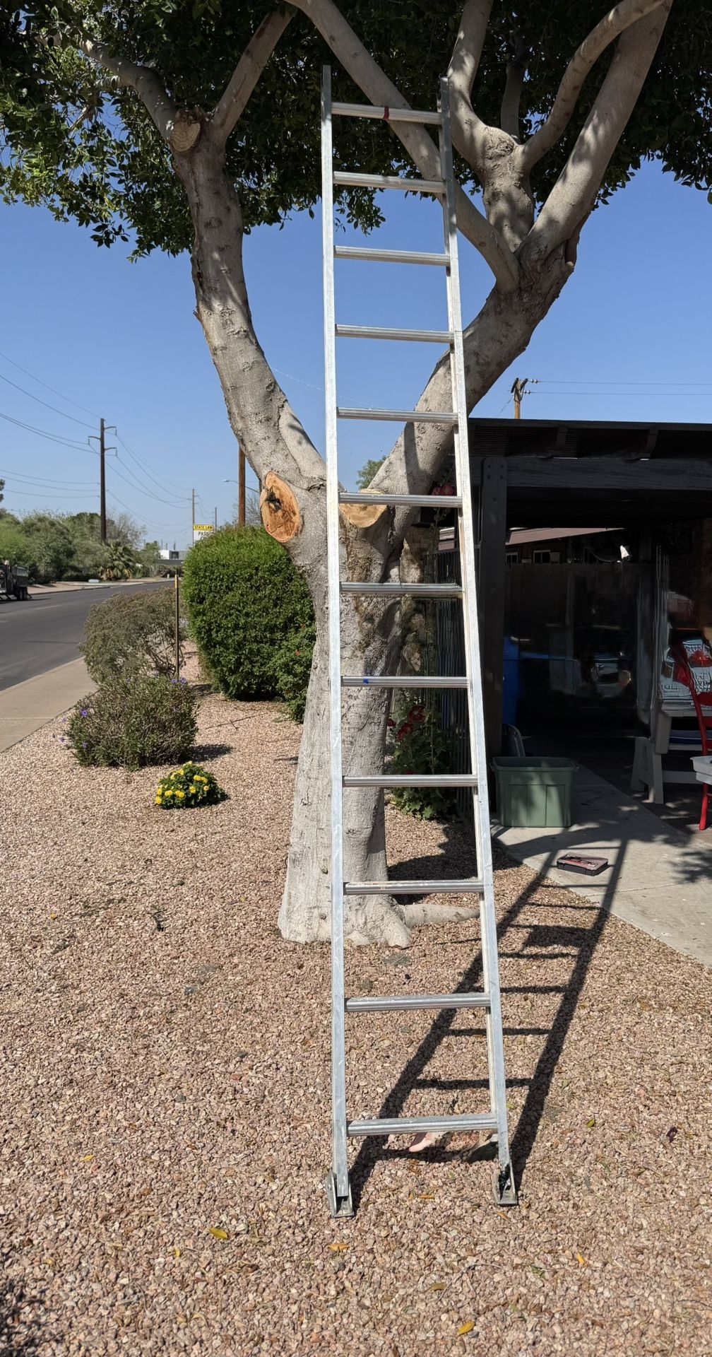 12 Foot Ladder