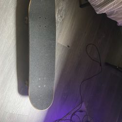 skateboard 