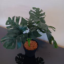 Fake Plant