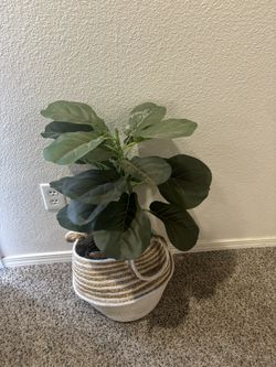 2 Faux Plants In Baskets 