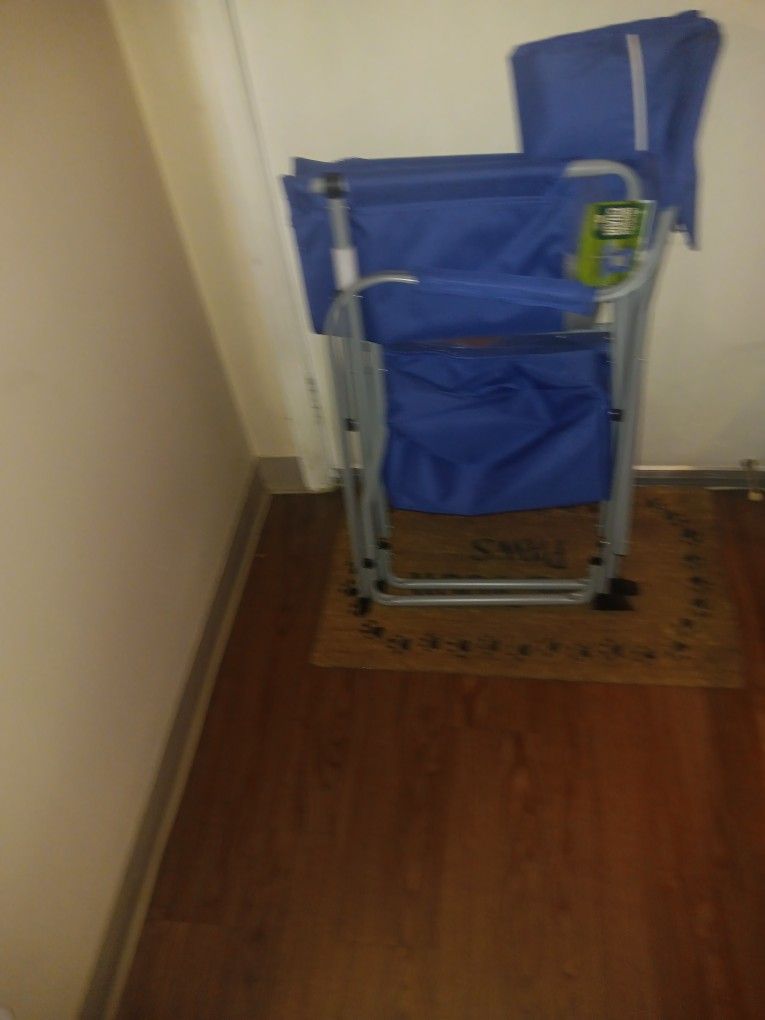 Foldable Directer's Chair
