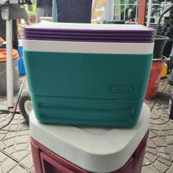 Small Igloo Cooler 