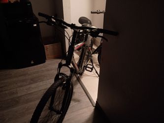 Giant mountain bike