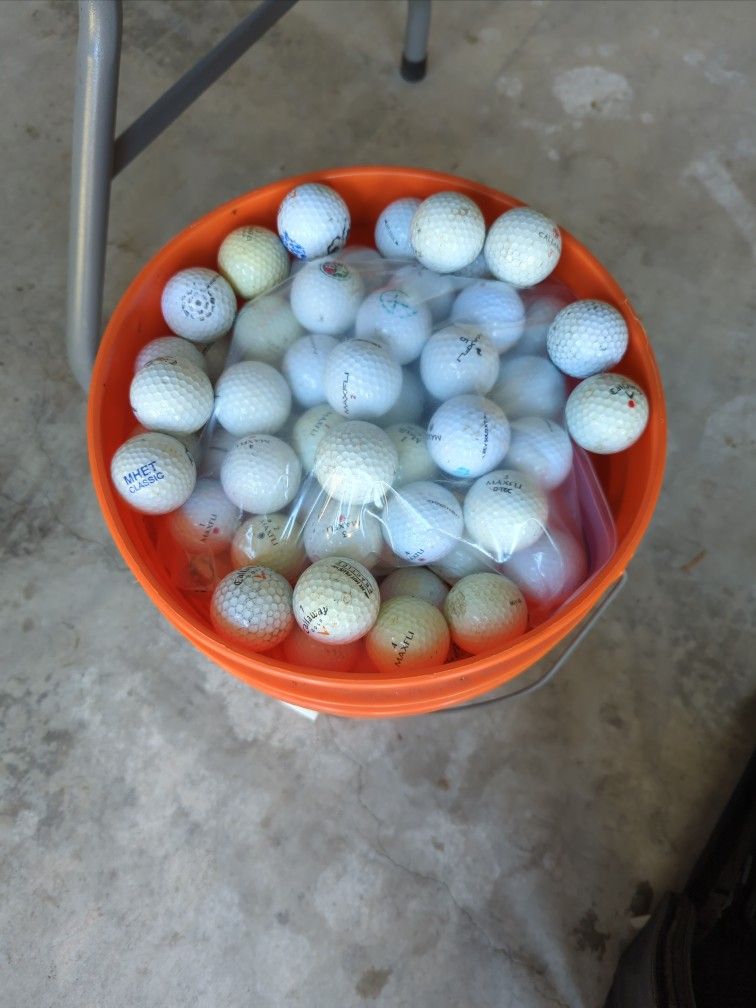 Hundreds Available Buy A Dozen Or Hundred