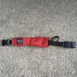 Dog Collar With Retractable Leash