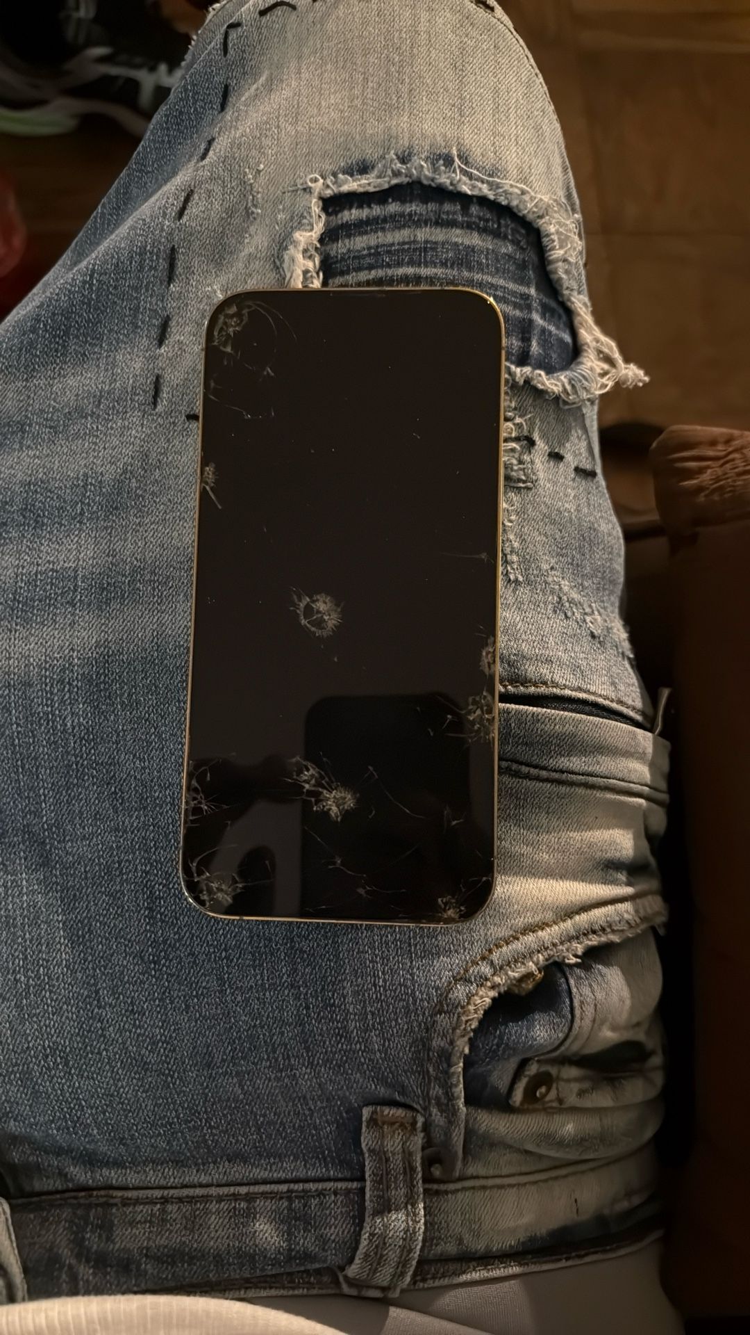 iPhone 14 Pro Max