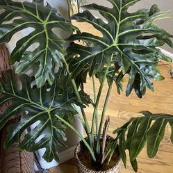 Fake Plant