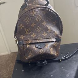 Louis Vuitton Mini Back Bag