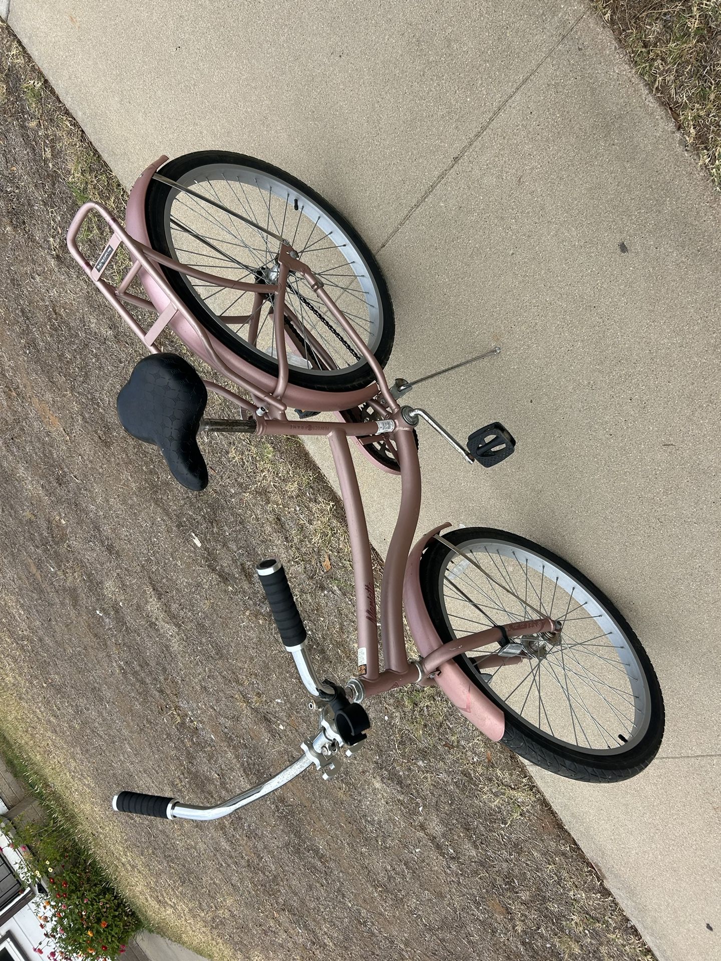 Está Visicleta. X $100