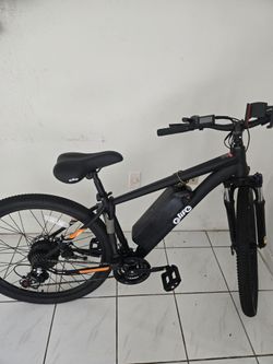 Electric bike