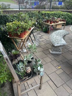 Plants!