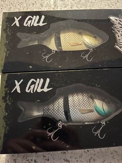 Baitsanity x gill